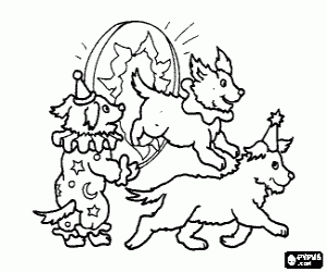 Colorear Perritos realizando su actuaci�n circense saltando a trav�s de un aro