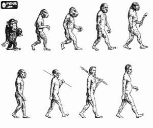 Colorear Secuencia de la evoluci�n humana desde el australopithecus Lucy hasta el hombre moderno pasando entre otros por los hombres de Heidelberg, Pek�n, Neanderthal y Cromagnon