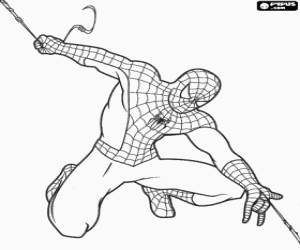 Colorear Spider Man se desplaza de manera muy r�pida y �gil por la ciudad balance�ndose con su tela de ara�a