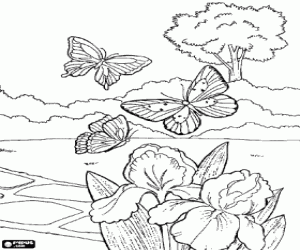 Colorear Tres mariposas volando por el jard�n