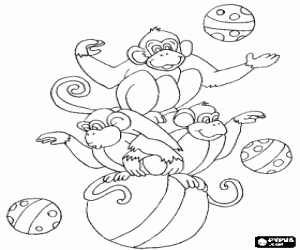 Colorear Tres monos jugando con pelotas