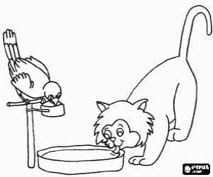 Colorear Un gato y un loro bebiendo de sus platitos