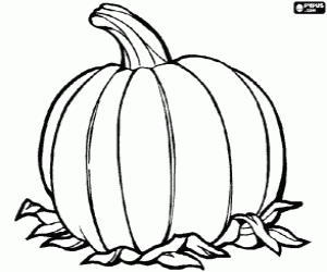 Colorear Una gran calabaza, el fruto de la planta de calabaza originaria de Am�rica