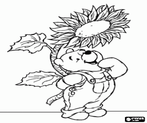 Colorear Winnie The Pooh contento con un gran girasol