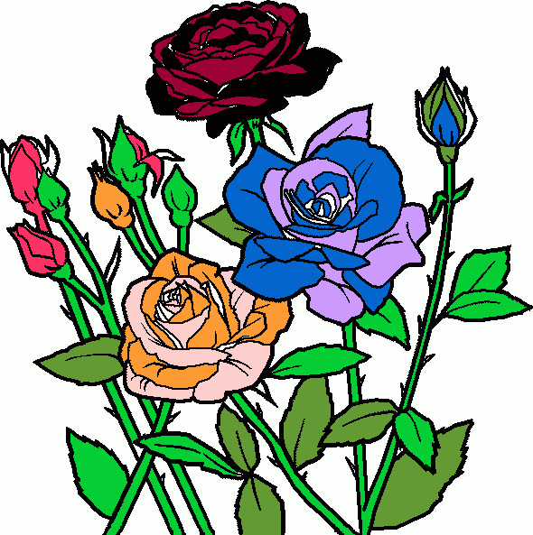3 rosas combinadas y claveles para colorear