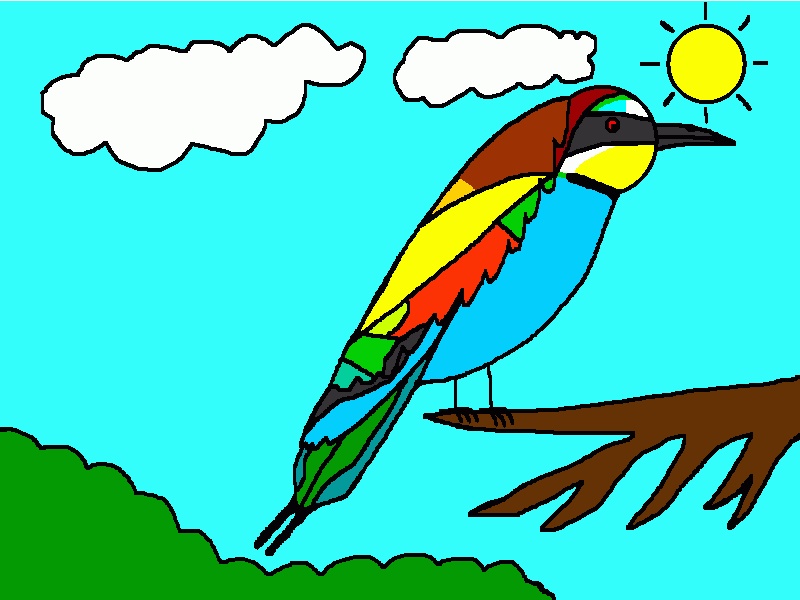 abejaruco europeo para colorear