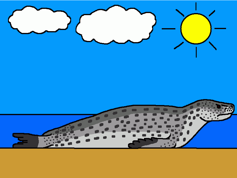 acrophoca para colorear