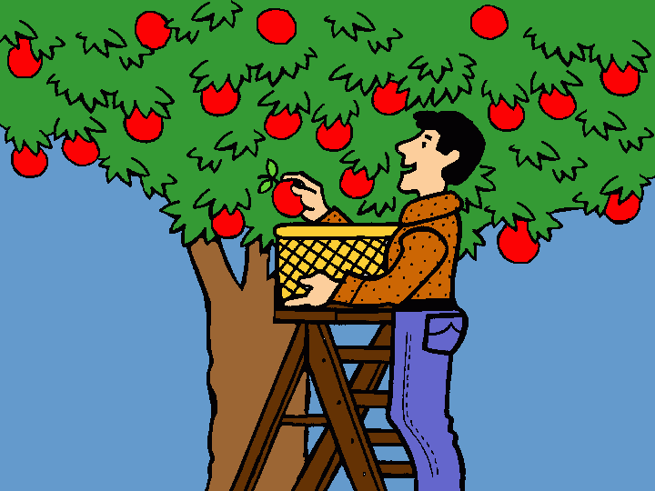 agricultor para colorear