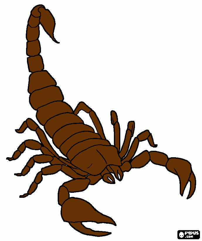 alacrán, tambié para colorear, alacrán, tambié para imprimir alacr-n-tambi-para-colorear-alacr-n-tambi-para-imprimir