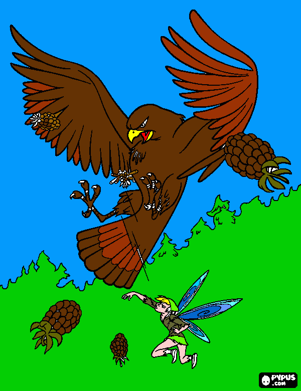 alcon para colorear