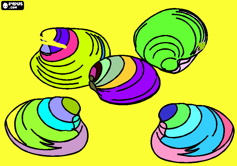 ALMEJA COLOR para colorear