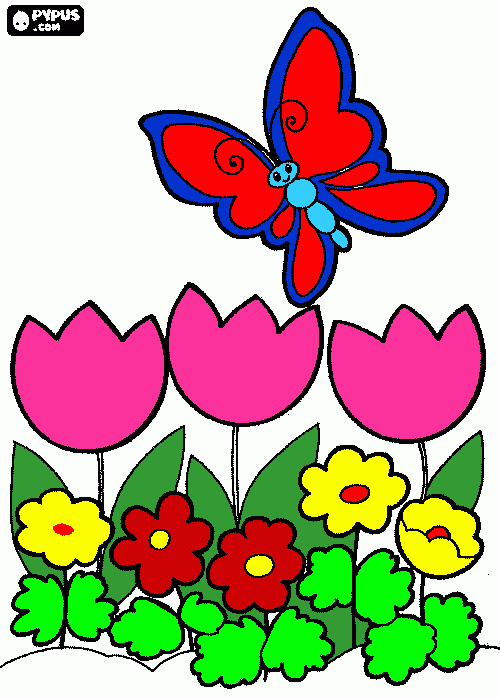 ALTAMIRANO para colorear