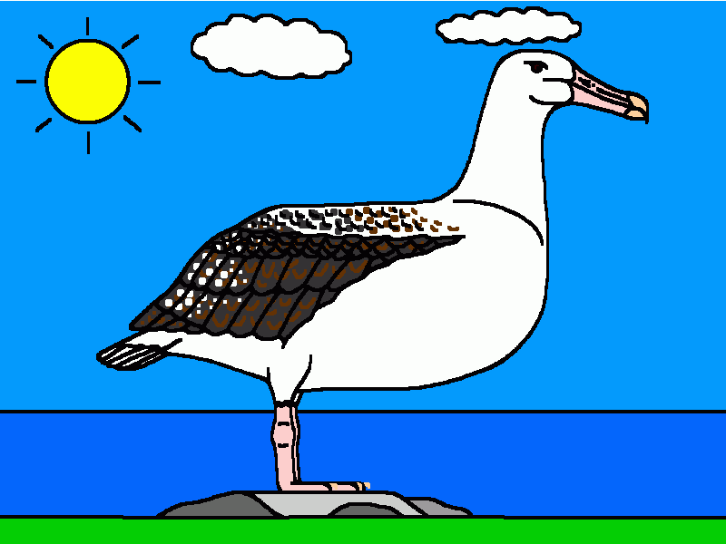 alvatros real para colorear