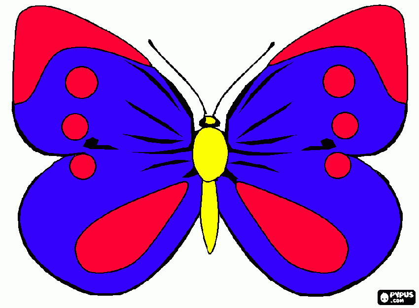 animal volador faborito para colorear