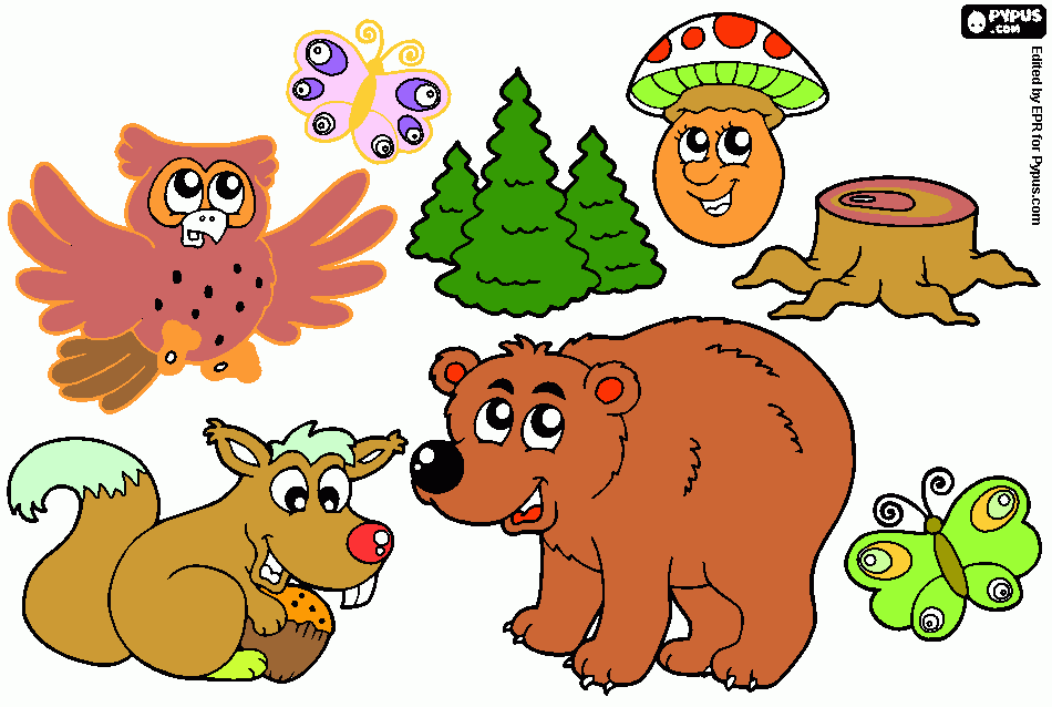 animales del bosque para colorear