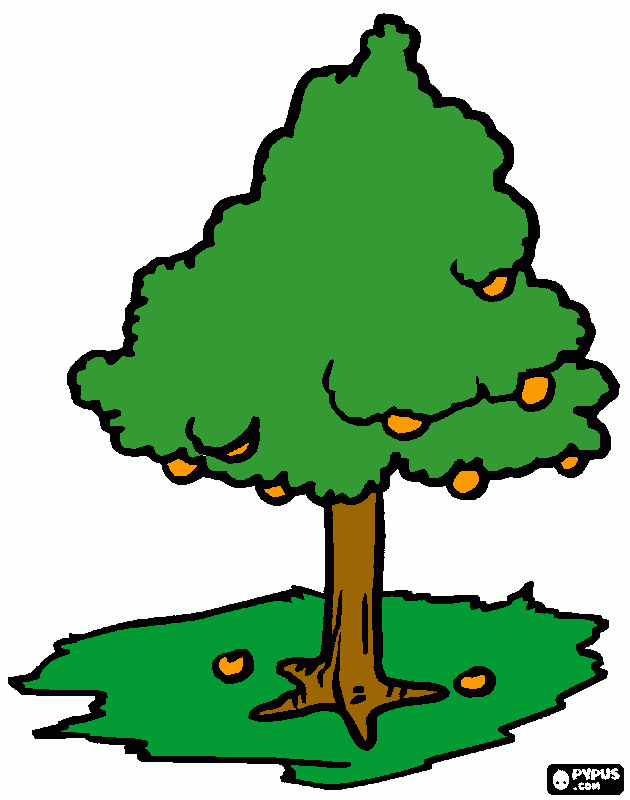 arbol con frutos  para colorear