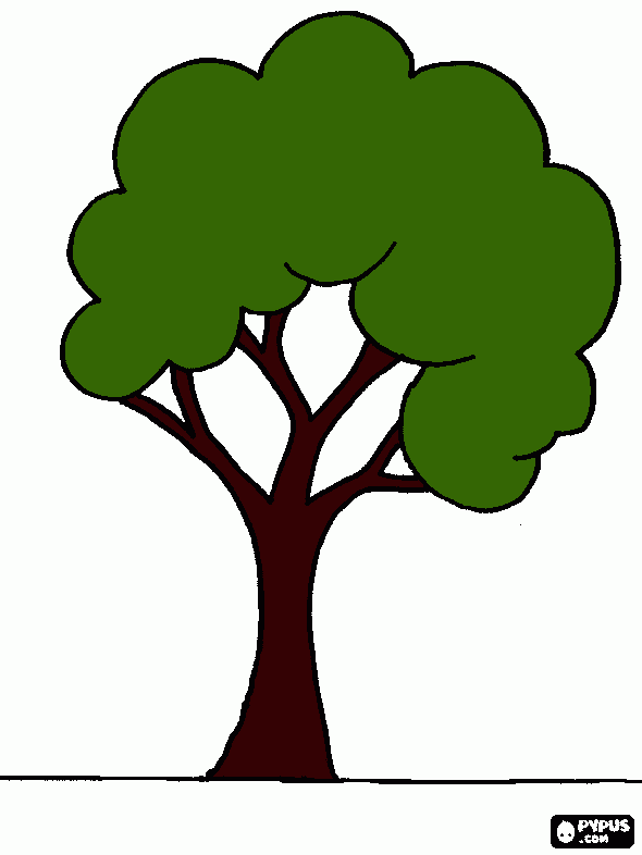 arbol de zaqueo para colorear
