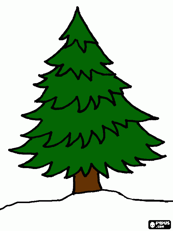 arbol pino para colorear, arbol pino para imprimir arbol pino para colorear, arbol pino para imprimir