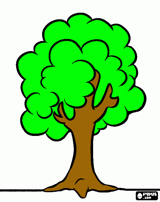 arbol sin fruto para colorear