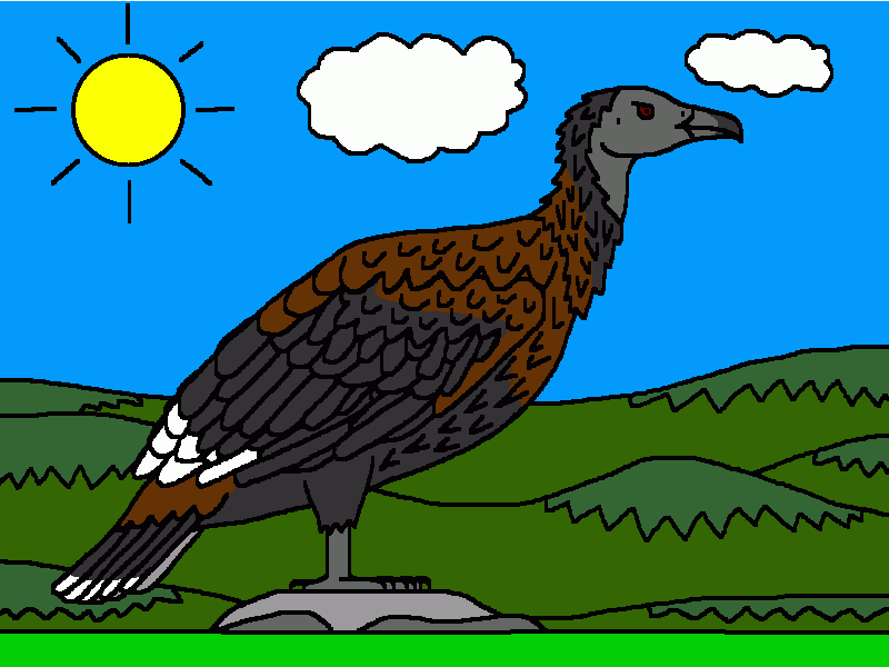 argentavis para colorear