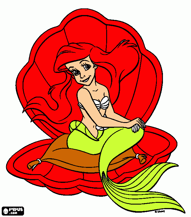ariel    concha para colorear