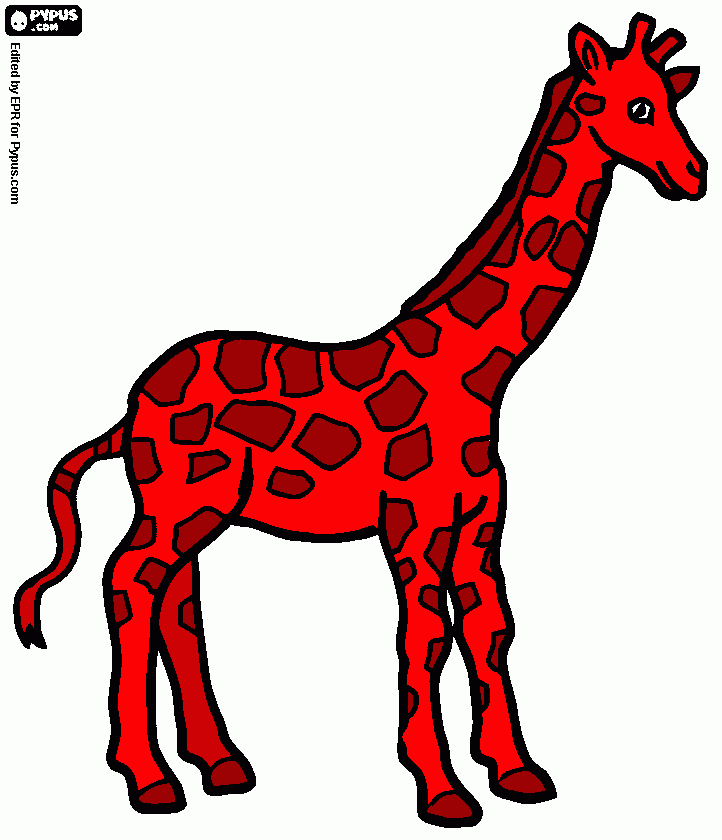 Arranz para colorear