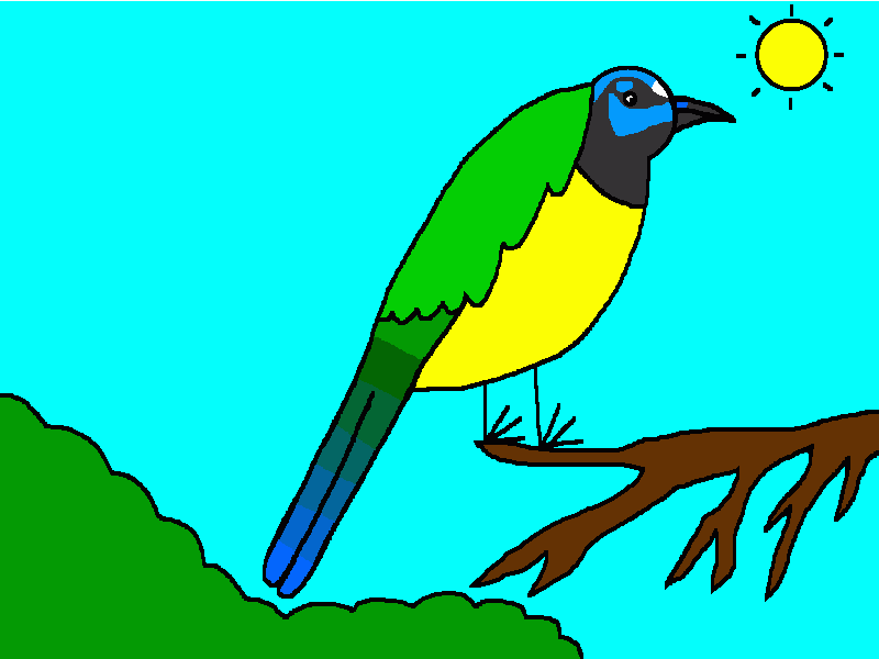 arrendajo verde para colorear