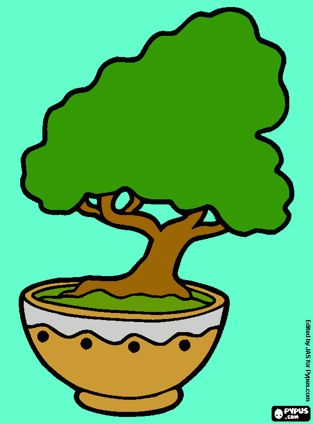 arte japones - bonsai para colorear