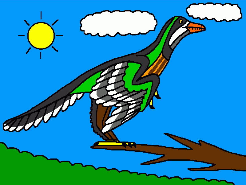 aurornis para colorear
