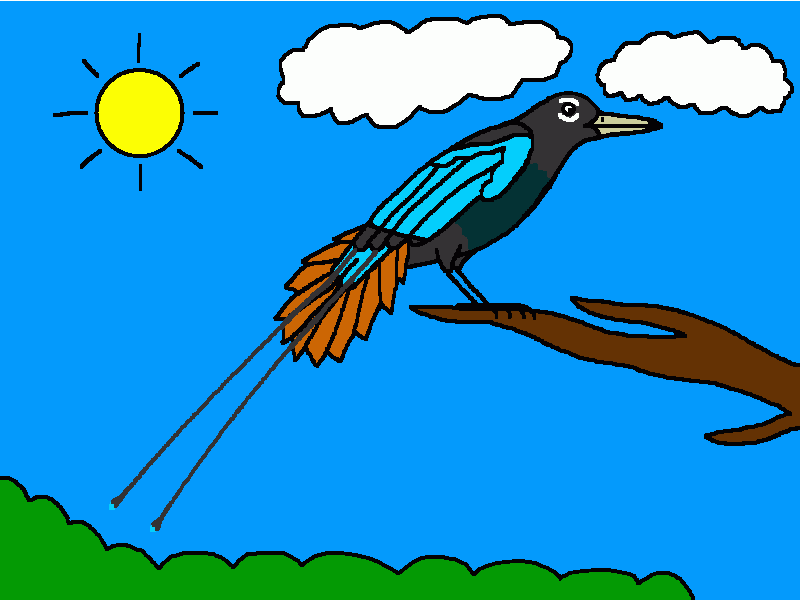 ave del paraíso azul para colorear
