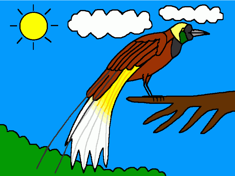 ave del paraíso mayor para colorear