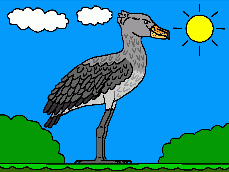 ave picozapato para colorear