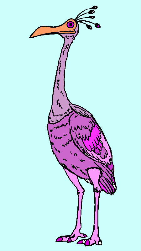 ave zancuda para colorear