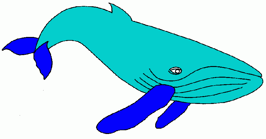 ballena jorobada para colorear