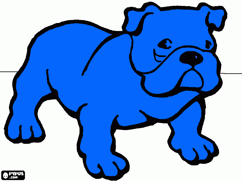 bildog ingles azul para colorear