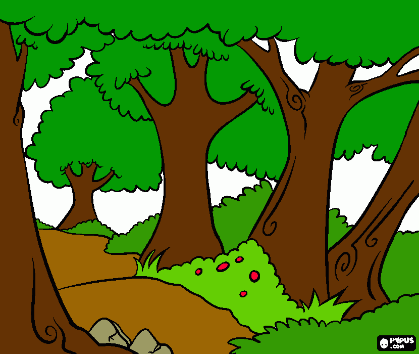 bosque libro para colorear