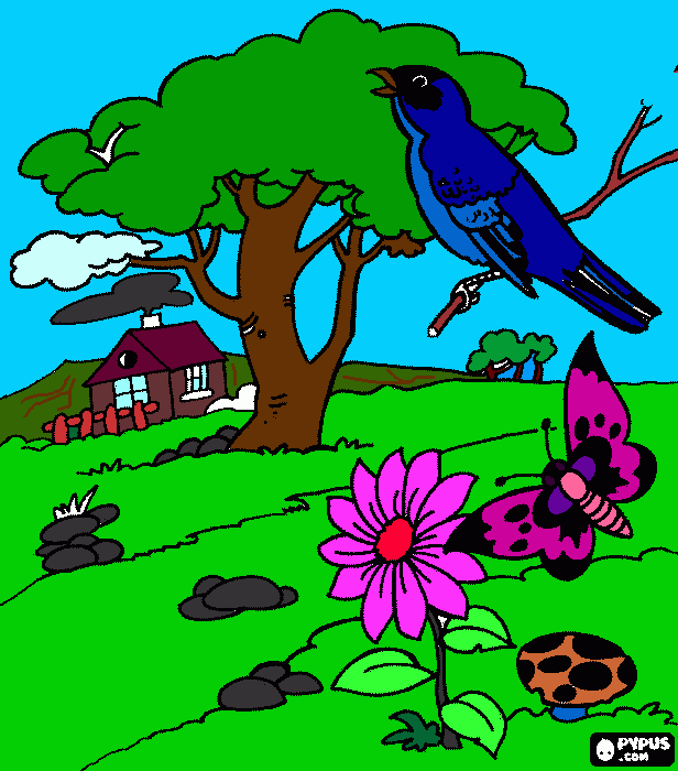 bosque tipo rancho para colorear