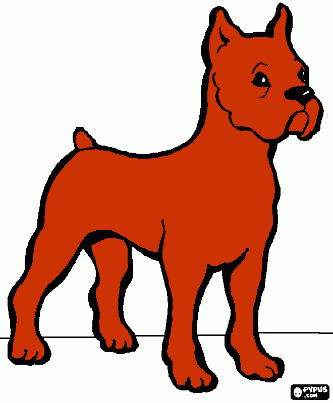 boxer para colorear