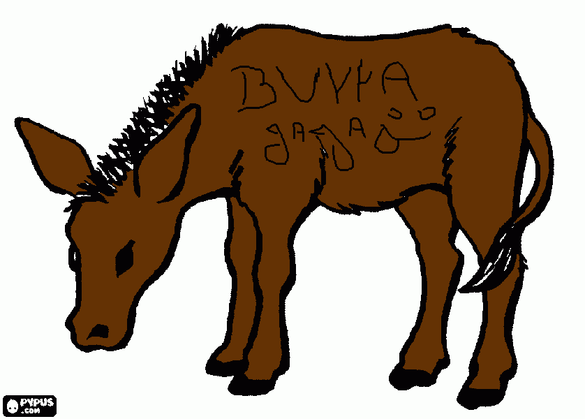 burra para colorear