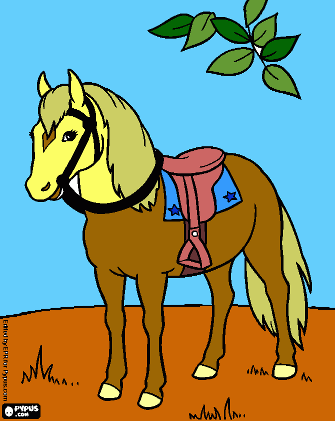 Caballo cartujano para colorear