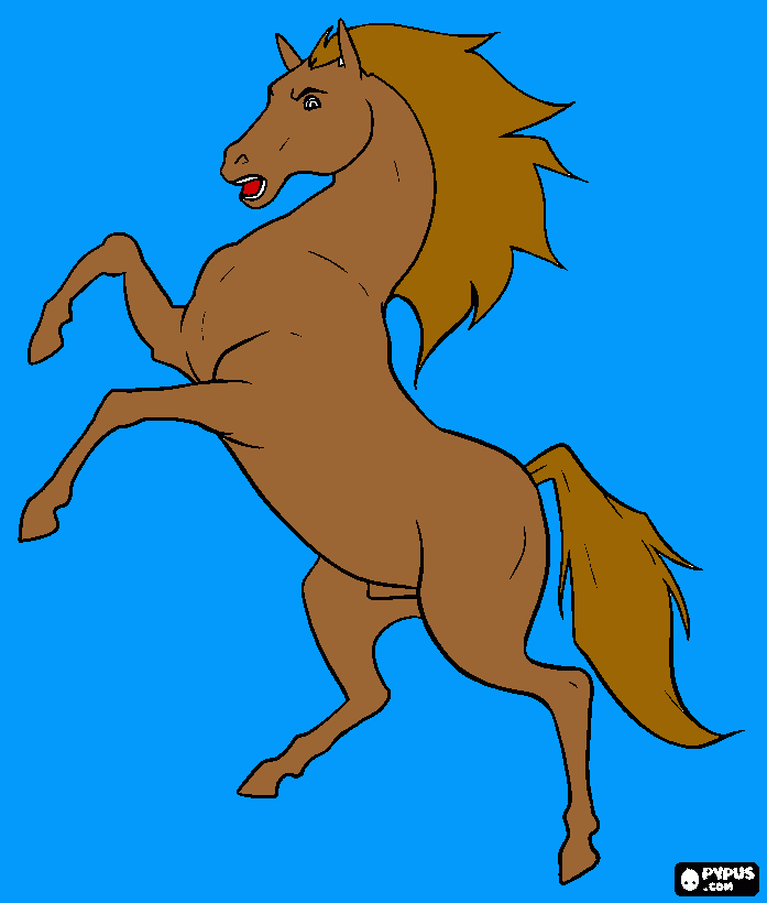 caballo encalibrado , caballo salbaje , semental para colorear