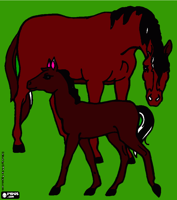 caballo  marco para colorear