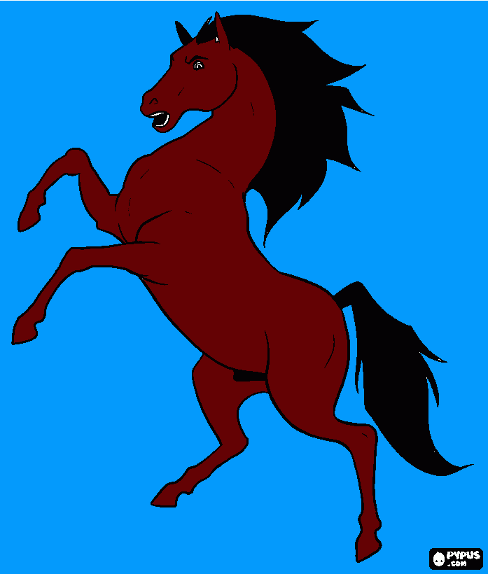 caballo parado de mano para colorear