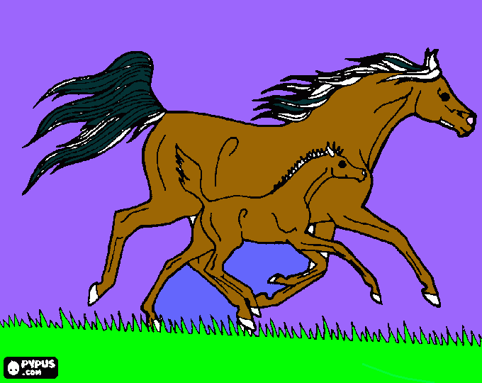 caballo y cria para colorear