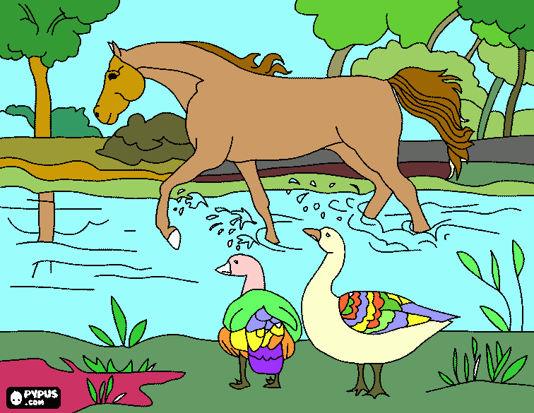 Caballoen el rio para colorear