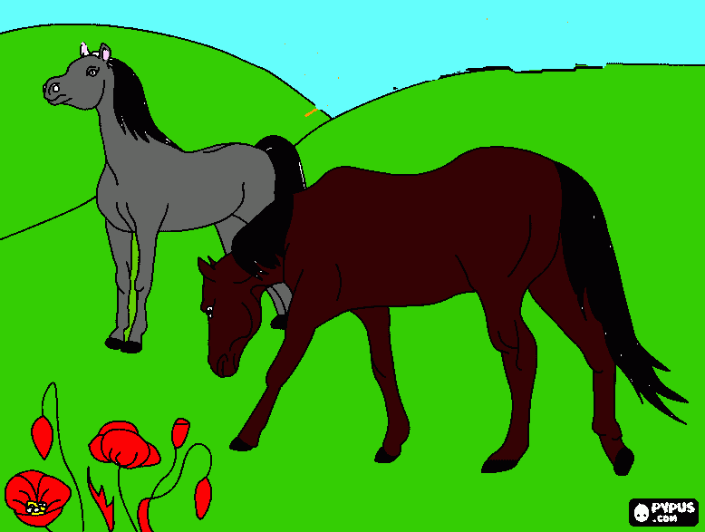 caballos bonitos  para colorear