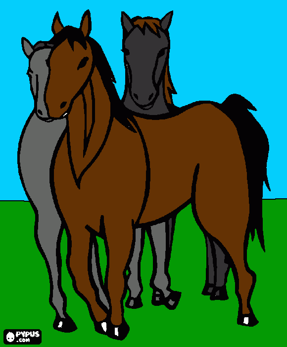 caballos juntos para colorear