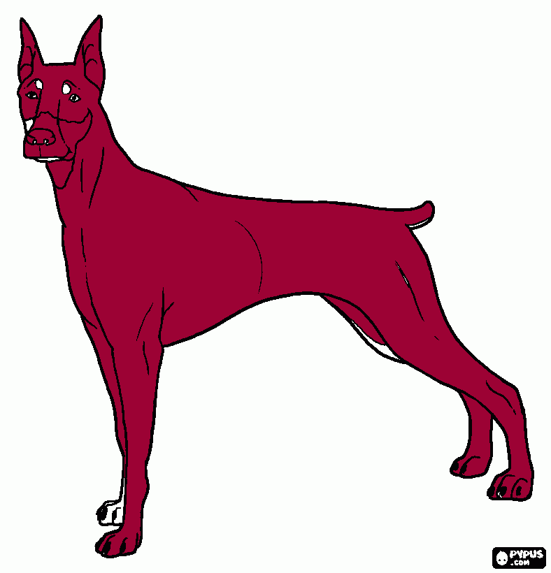 cachorrito mouli para colorear