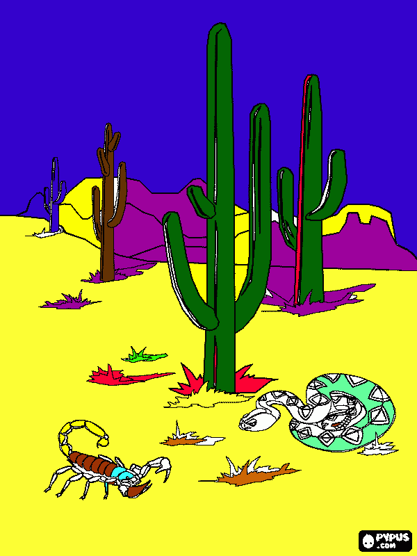 cactus para colorear