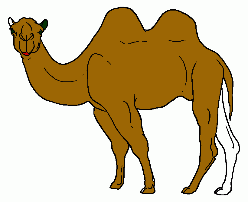 camello para colorear